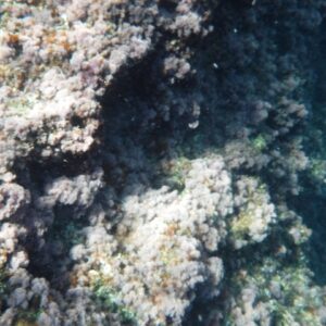 Giornata in barca (39)