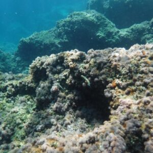 Giornata in barca (40)