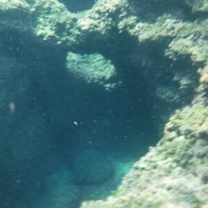 Giornata in barca (41)