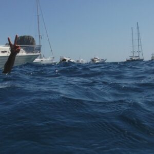 Giornata in barca (5)